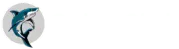CyberSharkLogoF